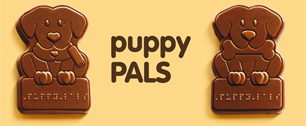 Картинка Шоколадные собаки поводыри помогут слабовидящим людям