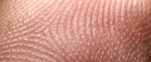 Картинка Nissan разрабатывает искусственную человеческую кожу