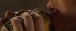 Картинка Страстный поцелуй жабы в рекламе соцсети для влюбленных