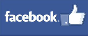 Картинка 20 лучших брендов Facebook