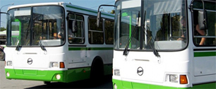 Картинка Подмосковье раздает автобусы под рекламу. Цена вопроса - 100 млн рублей