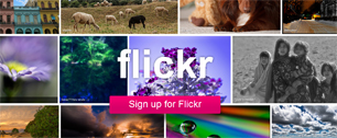 Картинка Новый дизайн сервиса Flickr вызвал возмущение пользователей