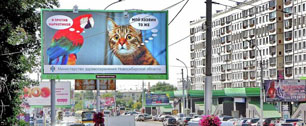 Картинка Антинаркотическая пропаганда от кота и попугая удивила новосибирцев