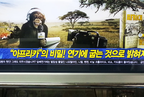 Картинка Рекламу корейской табачной компании признали расистской из-за обезьяны на пачке