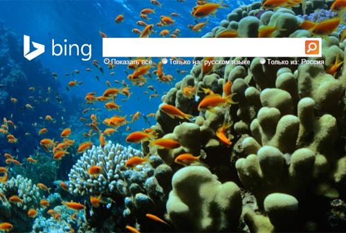 Картинка Microsoft может продать поиск Bing