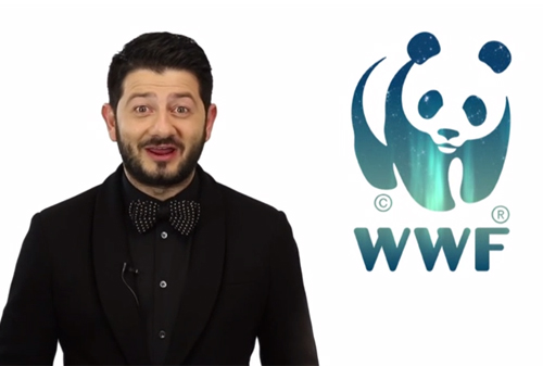 Картинка WWF и Comedy Club призывают «протянуть лапу помощи» белому медведю