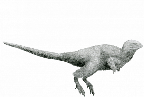 Картинка Брендом Забайкалья может стать пернатый динозавр