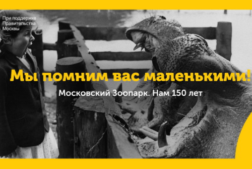 Картинка Жираф Самсон и крокодил Сатурн прорекламировали Московский зоопарк‏
