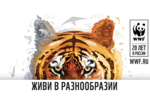 Картинка Агентство Crème Media «раскрасило» черно-белую панду WWF России