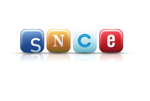 Картинка Конференция SNCE 2015: о чем будут говорить эксперты