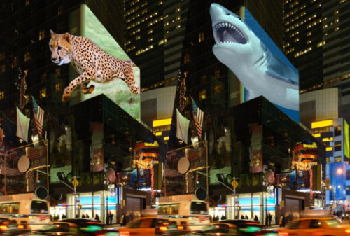 Картинка На Таймс-сквер появятся рекламные 3D-щиты