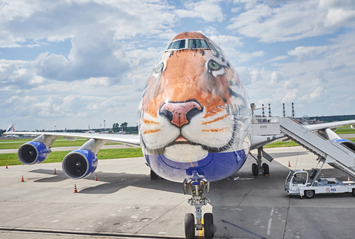 Картинка «Трансаэро» поднимет в небо «тигриный» самолет