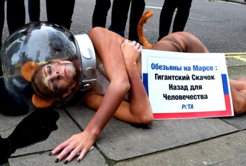 Картинка PETA протестует против российской миссии «Обезьяны на марсе»