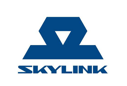 Картинка Tele2 вернула на массовый рынок бренд Skylink