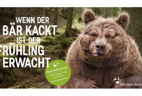 Картинка В Advico Y&R придумали кампанию «Какающий медведь» для экономных швейцарцев