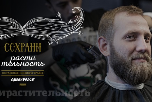 Картинка Гринпис привлек к защите сжигаемой травы российских бородачей