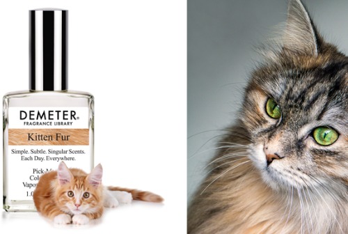 Картинка  Нью-йоркские парфюмеры создали духи с запахом кошки 