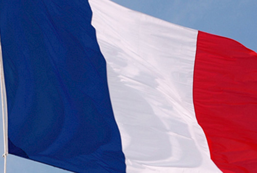 Картинка Во Франции может быть запрещена реклама на английском языке