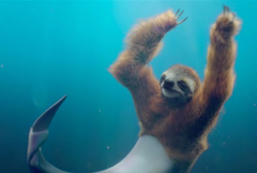 Картинка  В рекламе показали мобильных пользователей будущего в виде гибрида ленивца и дельфина