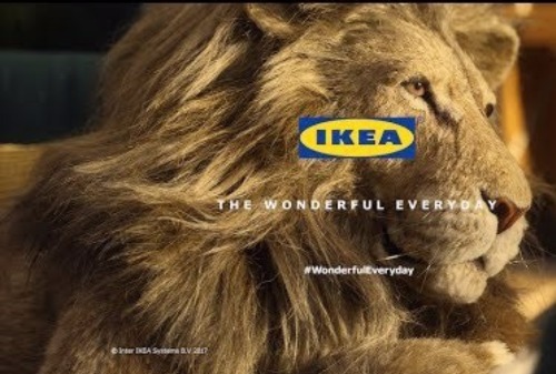 Картинка IKEA в рекламе гостиной пародировала фильмы о дикой природе