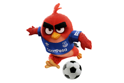 Картинка Компания-разработчик Angry Birds стала спонсором футбольного клуба «Эвертон»