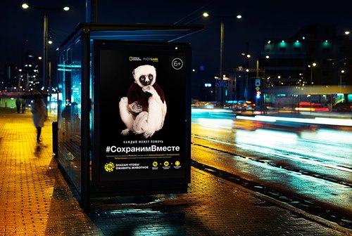 Картинка Shazam «оживил» фото исчезающих животных в National Geographic