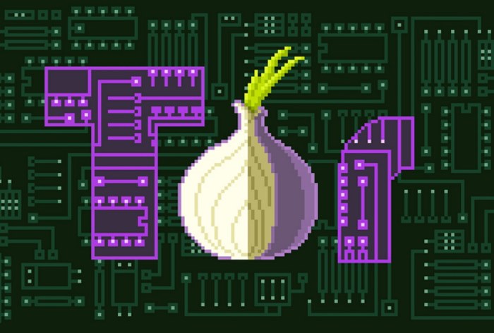 Картинка Сеть Tor станет доступной на Android