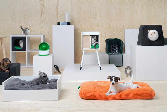 Картинка В российских магазинах IKEA появятся товары для кошек и собак