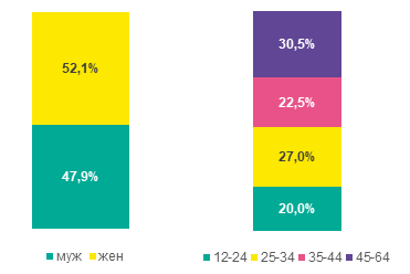 Обзор instream-видеорекламы в рунете: крупнейшие рекламодатели, категории и аудитория