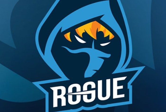 Картинка Фонд сооснователя Mail.Ru Group инвестирует в производителя мобильных игр Rogue Games