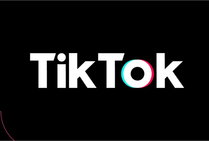 Картинка TikTok под угрозой: платформе не удалось избавиться от педофилов в комментариях