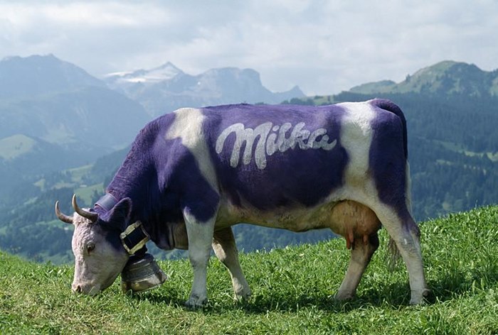 Картинка Россиянин не нашел альпийского молока в шоколаде Milka и подал в суд