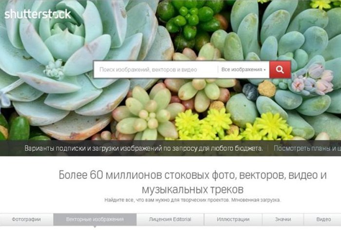 Картинка Роскомнадзор заблокировал один из доменов фотобанка Shutterstock