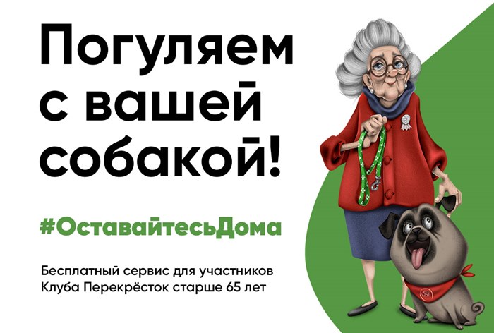 Картинка «Перекресток» и Purina бесплатно выгуляют питомцев пожилых россиян