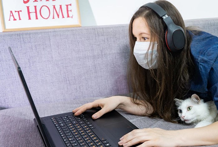 Пиратский контент стал популярнее за время самоизоляции