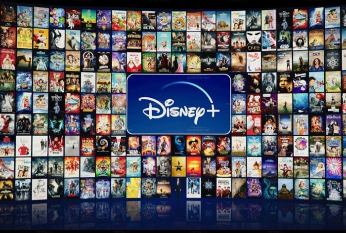 Картинка В 2022 году стриминговые сервисы Disney догонят Netflix по выручке